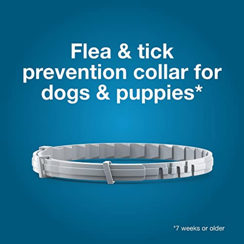 Seresto Large Dog Flea & Tick Collar – 8 Months of Protection