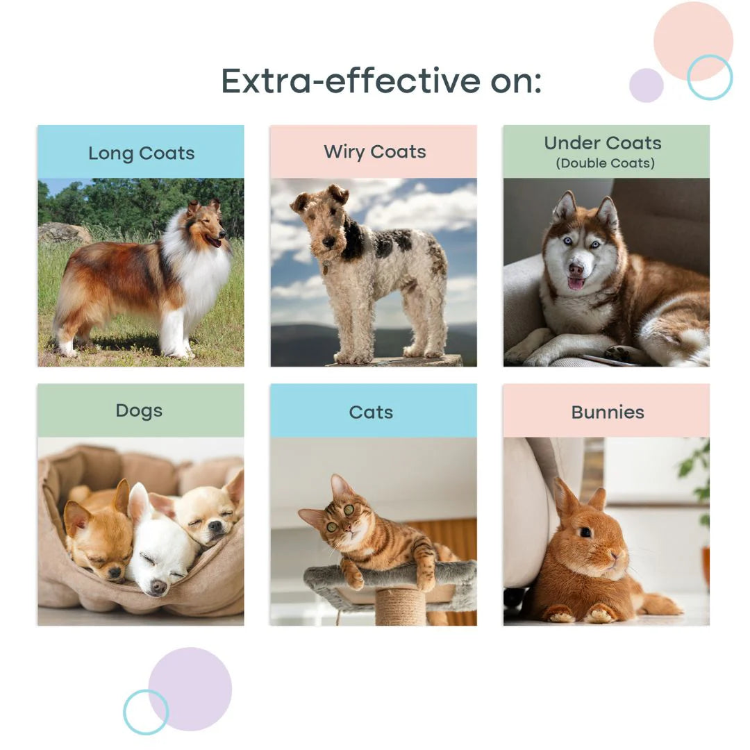 Pet Grooming Comb Dog Shedding Remover Cat Hair Detangler Tool 3 in 1