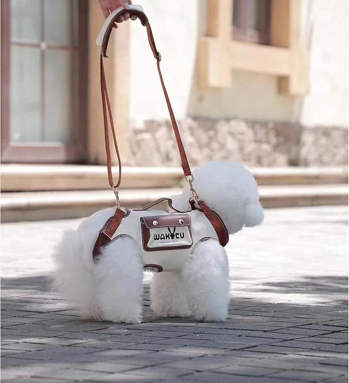 Pet carrier shoulder bag